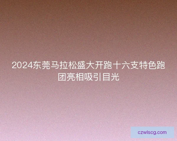 2024东莞马拉松盛大开跑十六支特色跑团亮相吸引目光