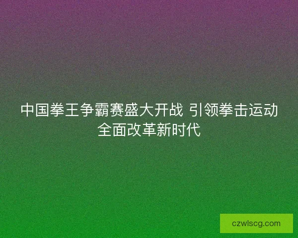 中国拳王争霸赛盛大开战 引领拳击运动全面改革新时代